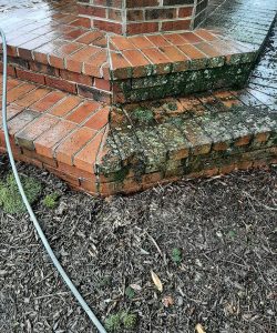 brick steps Pressure Washing in Knoxville